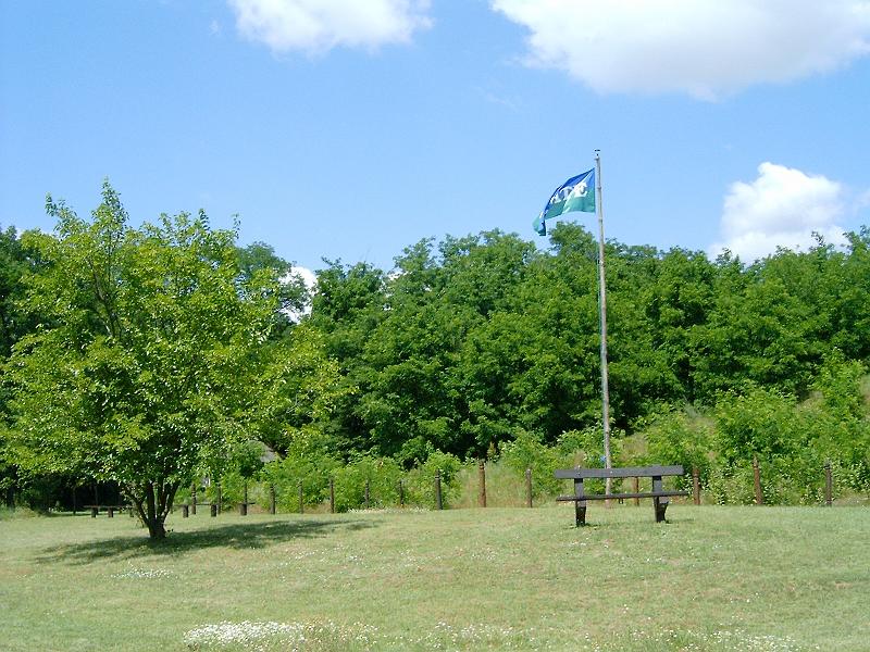 20100709 011.jpg